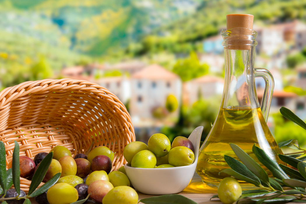 Ayvalık Zeytin Hasadı Festivali Turu-4