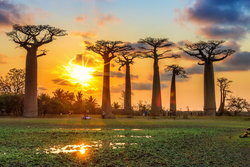 Platinum Egzotik Afrika Madagaskar Ve Seyşeller Turu-3