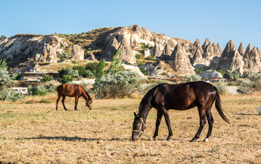 Kapadokya - Kayseri Turu-8 Kapadokya - Kayseri Turu-8