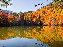 Yakın Bölge Otelleri