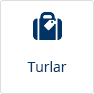 Turlar
